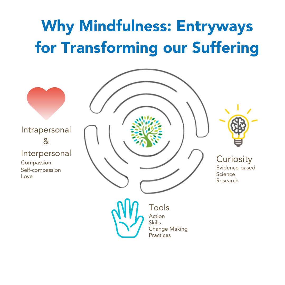 why mindfulness infographic